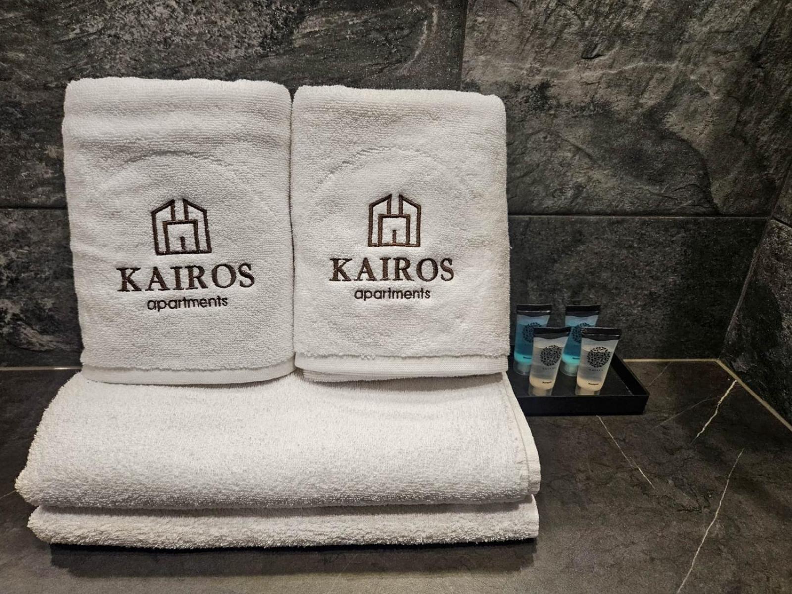 Kairos Apartments -Tower II Premium - Darmowy Parking, Silownia, Sauna - Scisle Centrum Katowice Extérieur photo